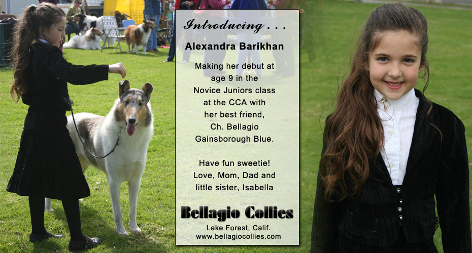 Bellagio Collies -- Introducing Alexandra Barikhan and CH Bellagio Gainsborough Blue