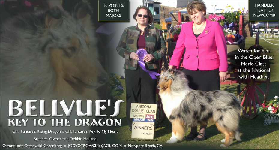 Bellvue Collies -- Bellvue's Key To The Dragon