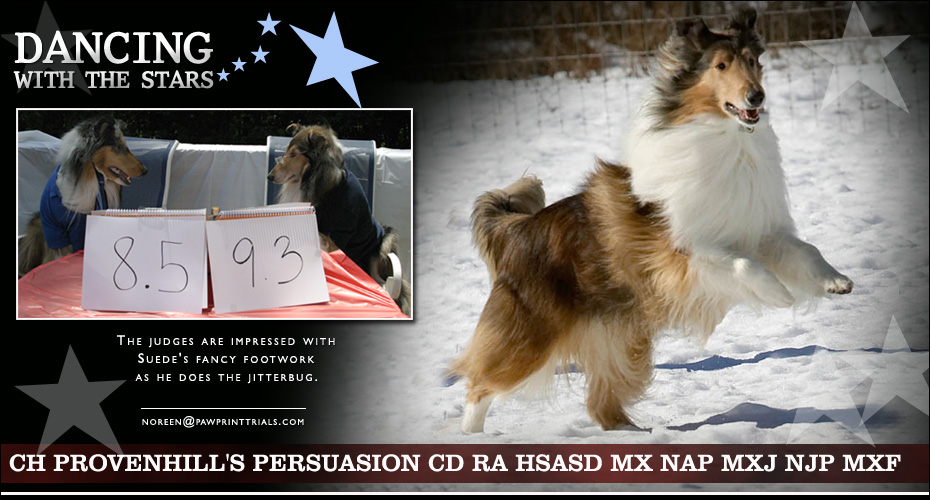 Noreen Bennett -- Ch Provenhill's Persuasion CD RA HSAsd MX  NAP MXJ NJP MXF