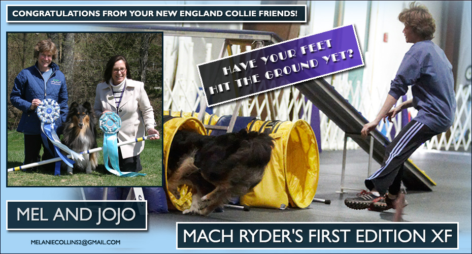 New England Collies Friends congratulates Melanie Collins and MACH Ryder's First Edition XF