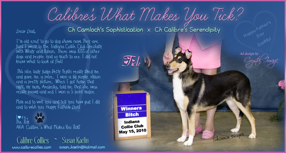 Calibre Collies -- Calibre's What Make You Tick?