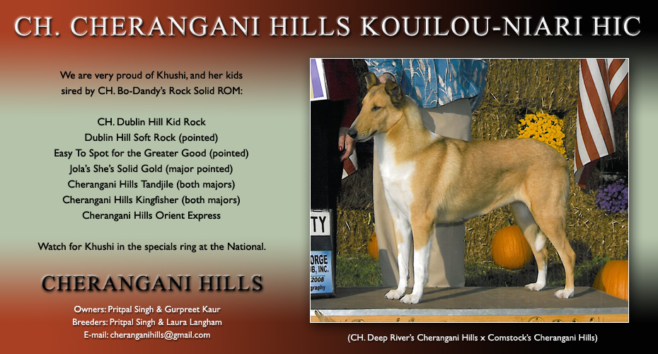 Cherangani Hills Collies -- CH Cherangani Hills Kouilou-Niari HIC