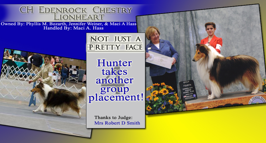 Chestry Collies -- CH Edenrock Chestry Lionheart