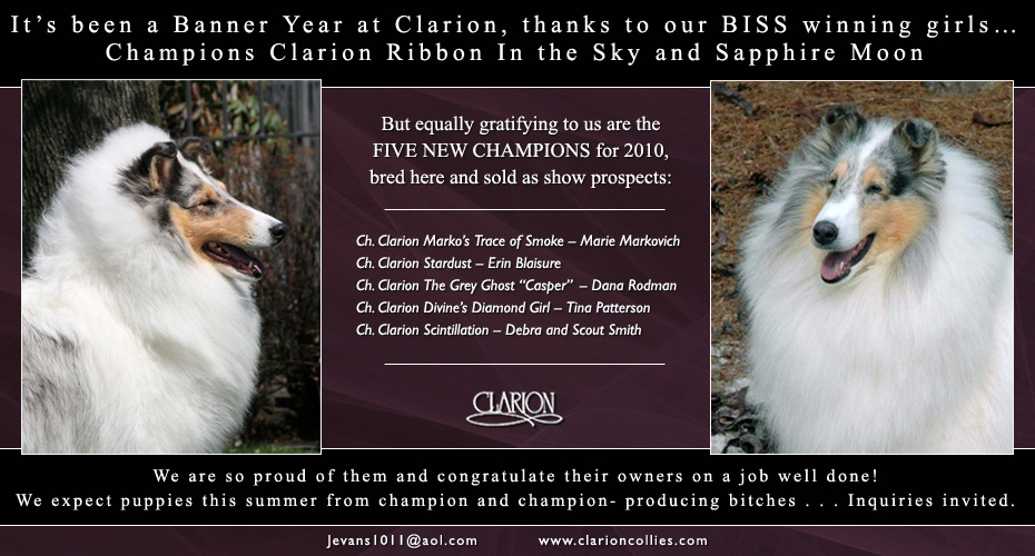 Clarion Collies -- CH Clarion Ribbon In The Sky and CH Clarion Sapphire Moon