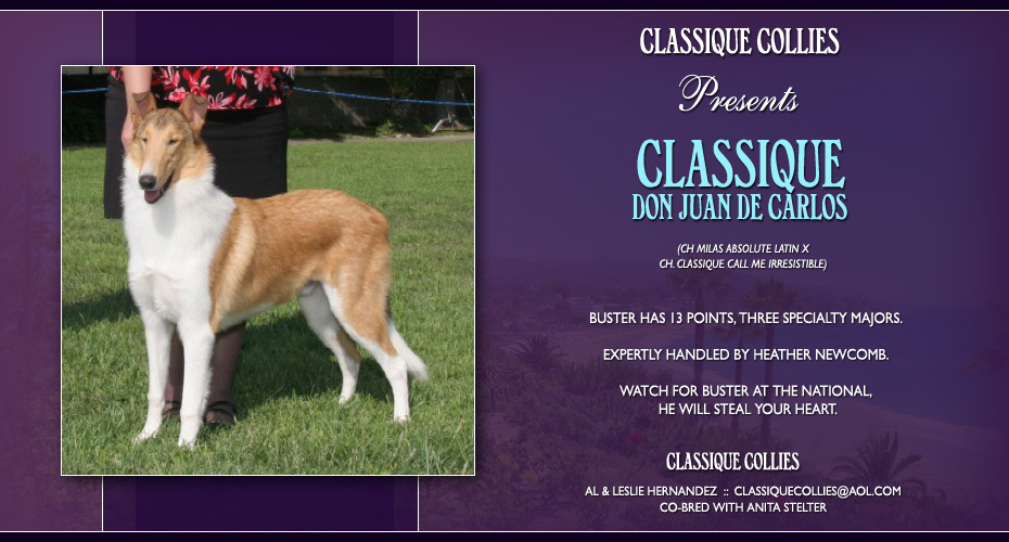 Classique Collies -- Classique Don Juan De Carlos