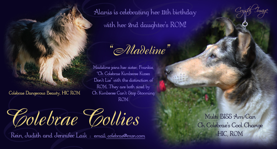 Colebrae Collies --  Colebrae Dangerous Beauty, HIC, ROM and and AM/CAN CH Colebrae's Cool Change HIC, ROM