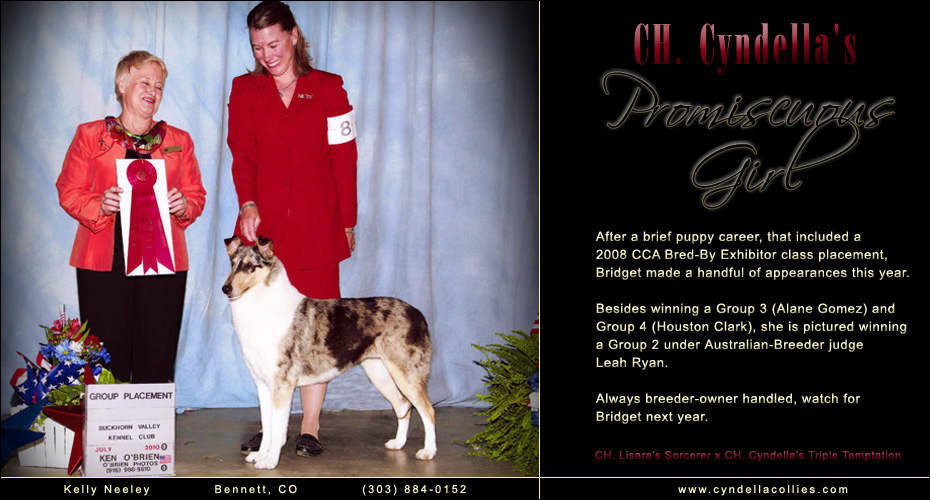 Cyndella Collies -- CH Cyndella's Promiscuous Girl