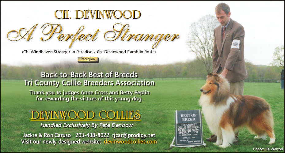 Devinwood Collies -- CH Devinwood A Perfect Stranger