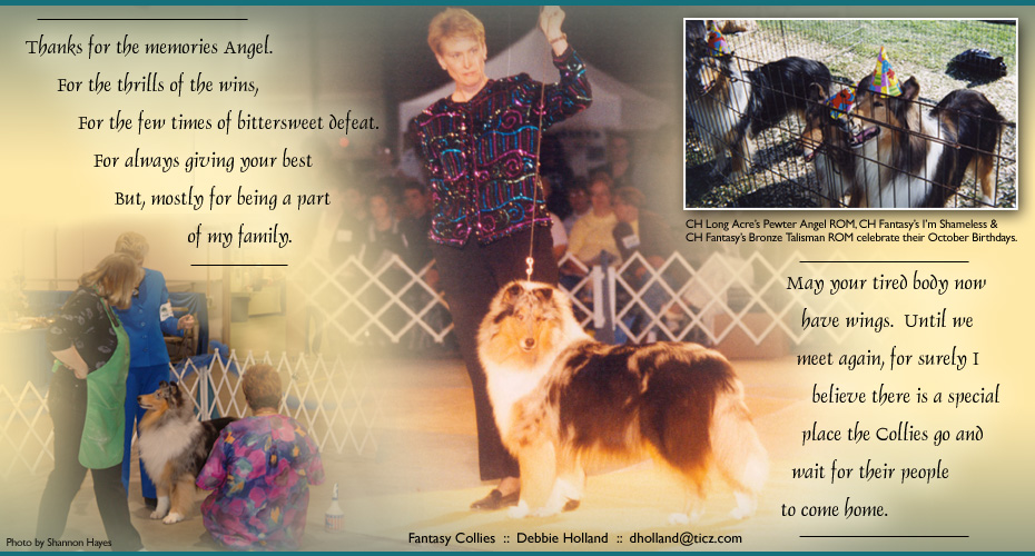 Fantasy Collies  -- In Loving Memory of CH Long Acre's Pewter Angel ROM