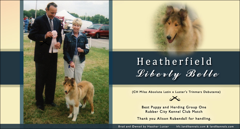 Heatherfield Collies -- Heatherfield Liberty Belle