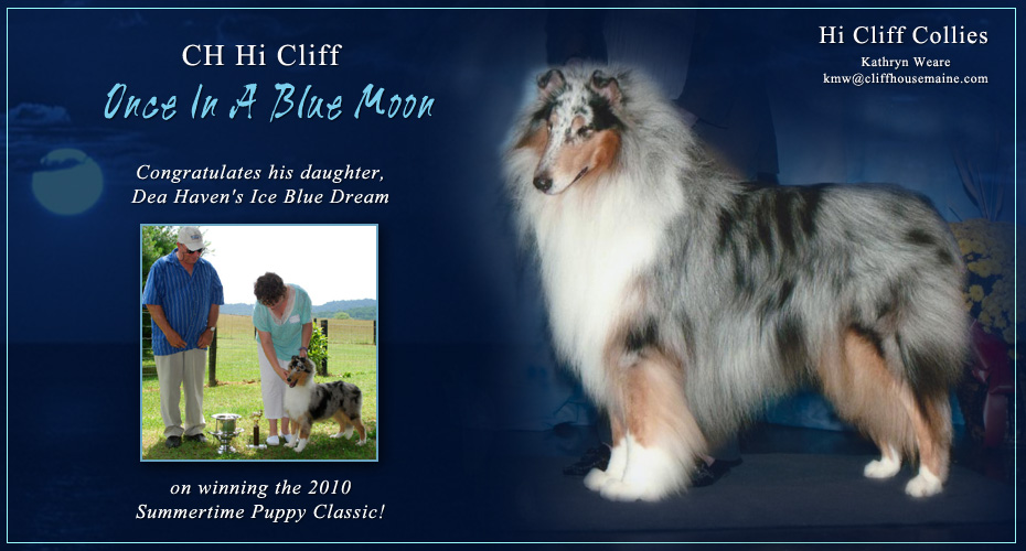 Hi Cliff Collies -- CH Hi Cliff Once In A Blue Moon