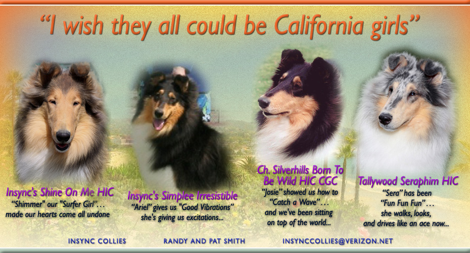 Insync Collies -- Insync's Shine On Me, Insync's Simplee Irresistible, CH Silverhills Born To Be Wild HIC CGC, Tallywood Seraphim HIC