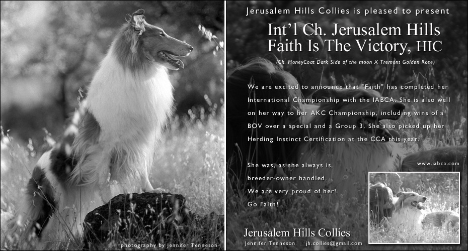 Jerusalem Hills -- Int'l CH Jerusalem Hills Faith Is The Victory, HIC