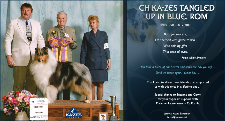 Ka-Zes Collies -- In loving memory of CH Ka-Zes Tangled Up In Blue, ROM