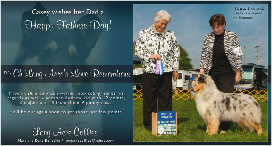 Long Acre Collies -- Long Acre's Love Remembers