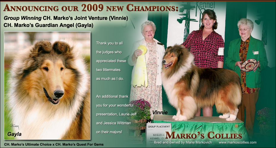Marko's Collies -- CH Marko's Joint Venture and CH Marko's Guardian Angel