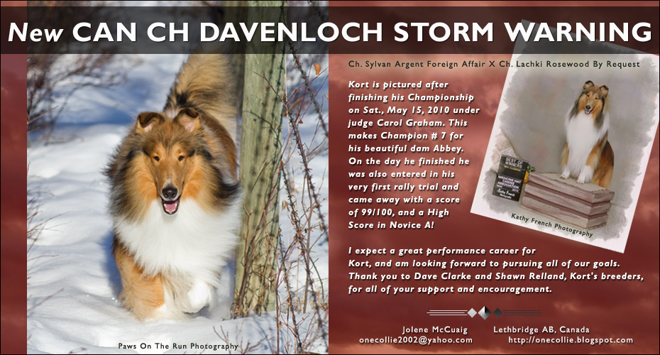 Jolene McCuaig -- CAN CH Davenloch's Storm Warning