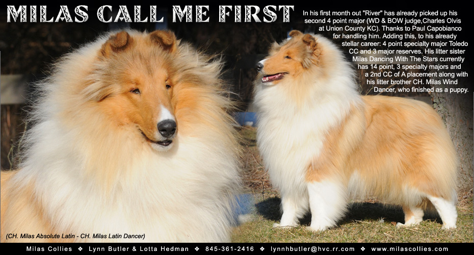 Milas Collies -- Milas Call Me First