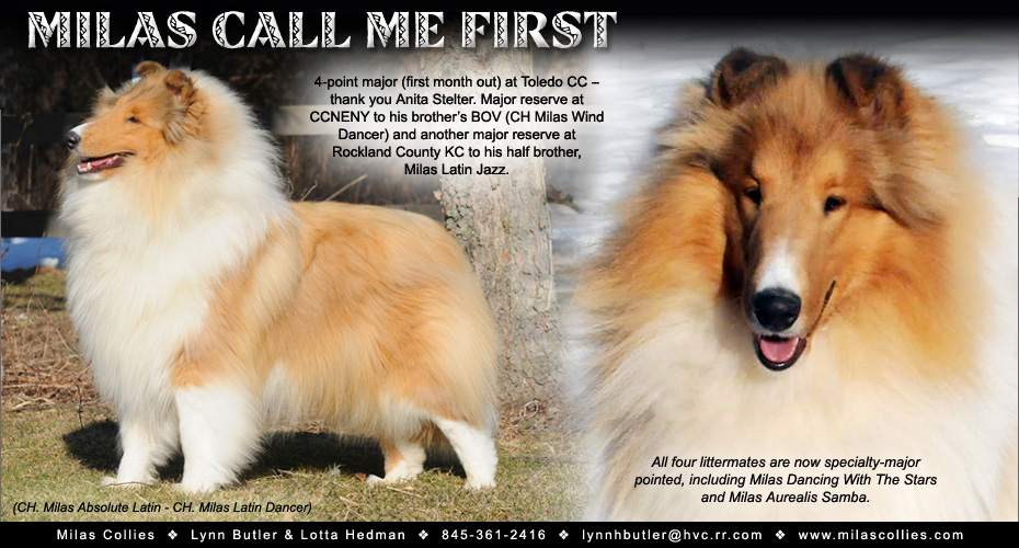 Milas Collies -- Milas Call Me First