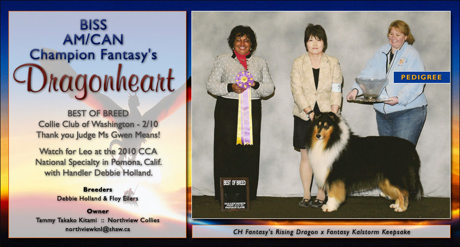 Northview Collies -- AM/CAN CH Fantasy's Dragonheart