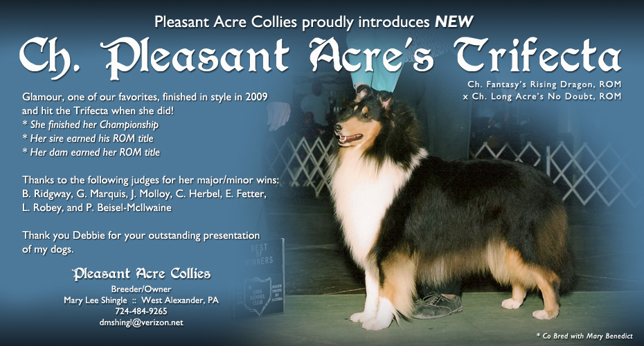 Pleasant Acre Collies -- CH Pleasant Acre's Trifecta