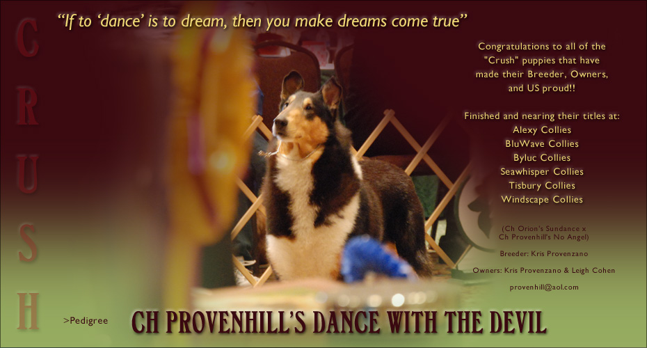 Provenhill Collies -- CH Provenhill's Dance With The Devil