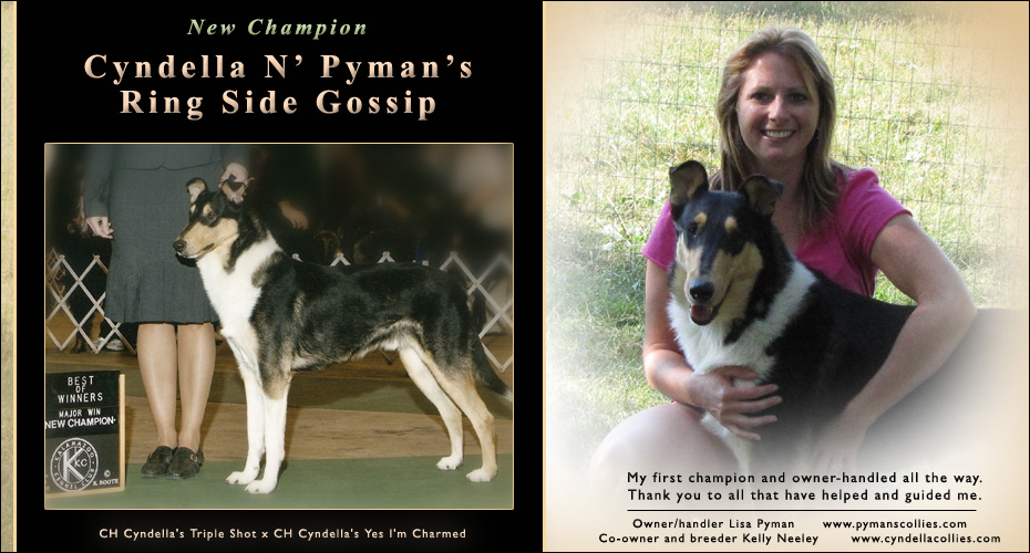 Pymans Collies / Cyndella's Collies -- CH Cyndella N Pyman's Ring Side Gossip