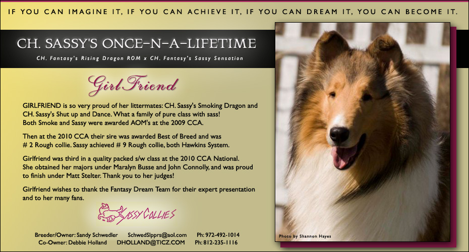 Sassy Collies / Fantasy Collies  -- CH Sassy's Once-N-A-Lifetime