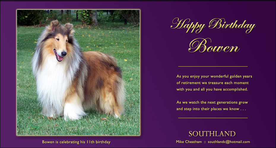 Southland Collies -- CH Southland's Bowen Island ROM