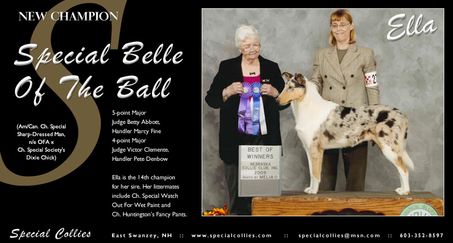 Special Collies -- CH Special Belle of The Ball