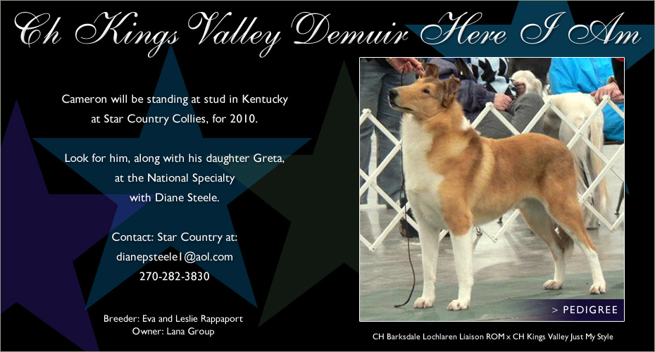 Star Country Collies -- CH Kings Valley Demuir Here I Am