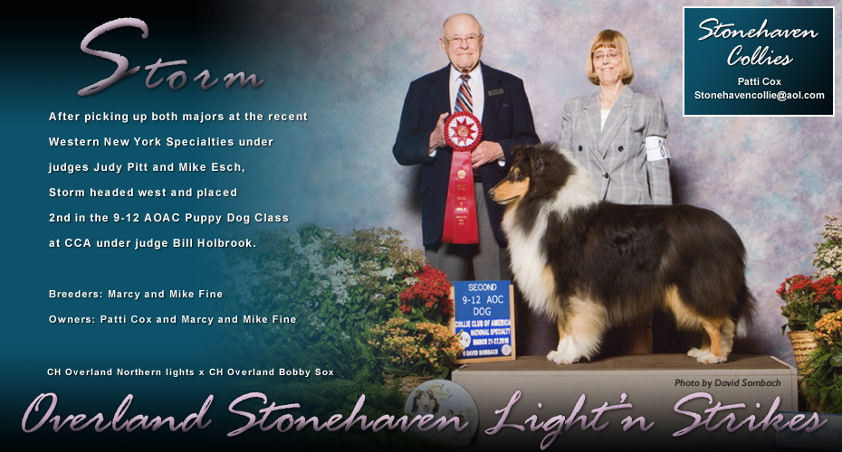 Stonehaven Collies / Overland Collies -- Overland Stonehaven Light'n Strikes