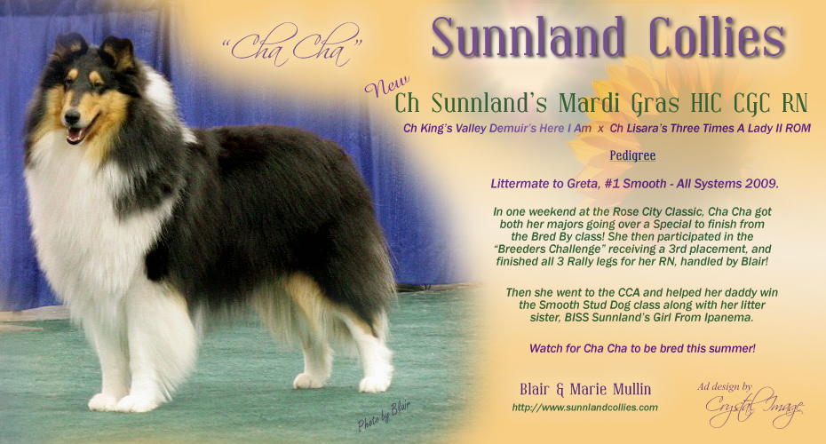 Sunnland Collies -- CH Sunnland's Mardi Gras HIC CGC RN