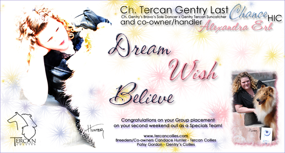 Tercan Collies -- CH Tercan Gentry Last Chance HIC