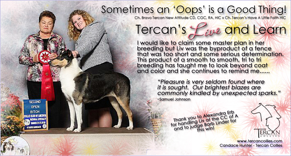 Tercan Collies -- Tercan's Live And Learn