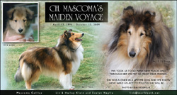 Mascoma Collies -- In Loving Memory of CH Mascoma's Maiden Voyage