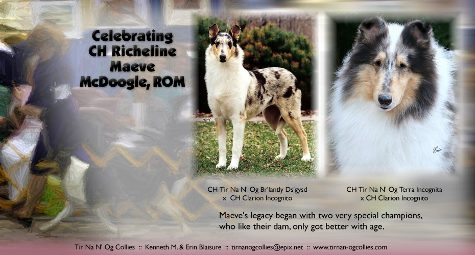 Tir Na N' Og Collies -- Celebrating CH Richeline Maeve McDoogle, ROM