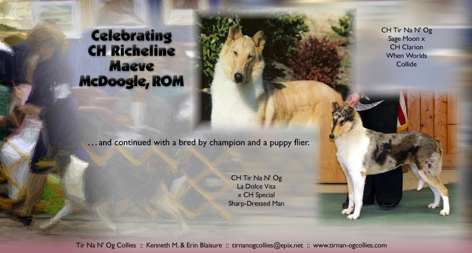 Tir Na N' Og Collies -- Celebrating CH Richeline Maeve McDoogle, ROM