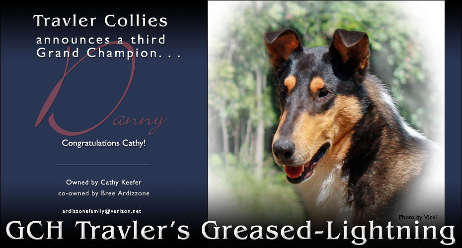 Travler Collies -- GCH Travler's Greased-Lightening