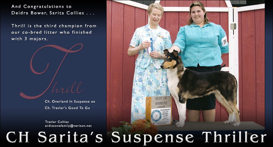 Travler Collies / Sarita Collies -- CH Sarita's Suspense Thriller