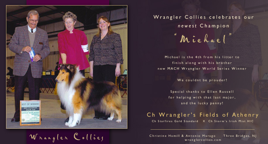 Wrangler Collies -- CH Wrangler's Fields Of Athenry