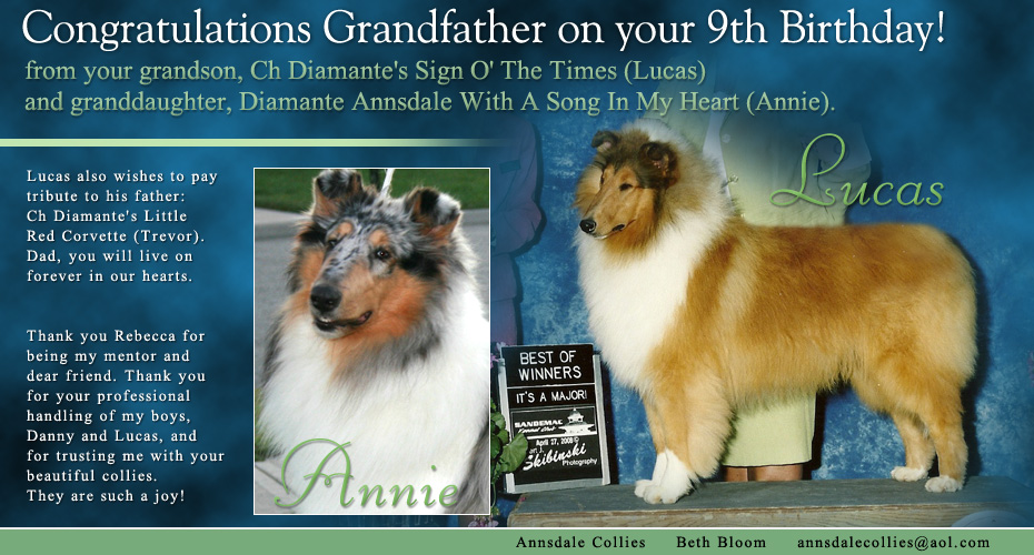 Annsdale Collies -- CH Diamante's Sign O' The Times, Diamante Annsdale With A Song In My Heart