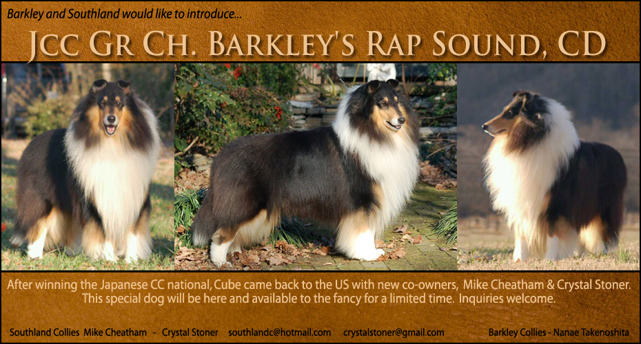 Barkley Collies and Southland Collies  -- JCC GCH Barkley's Rap Sound, CD