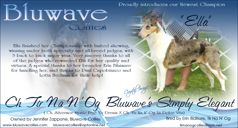 Bluwave Collies -- CH Tir Na N'Og Bluwave's Simply Elegant