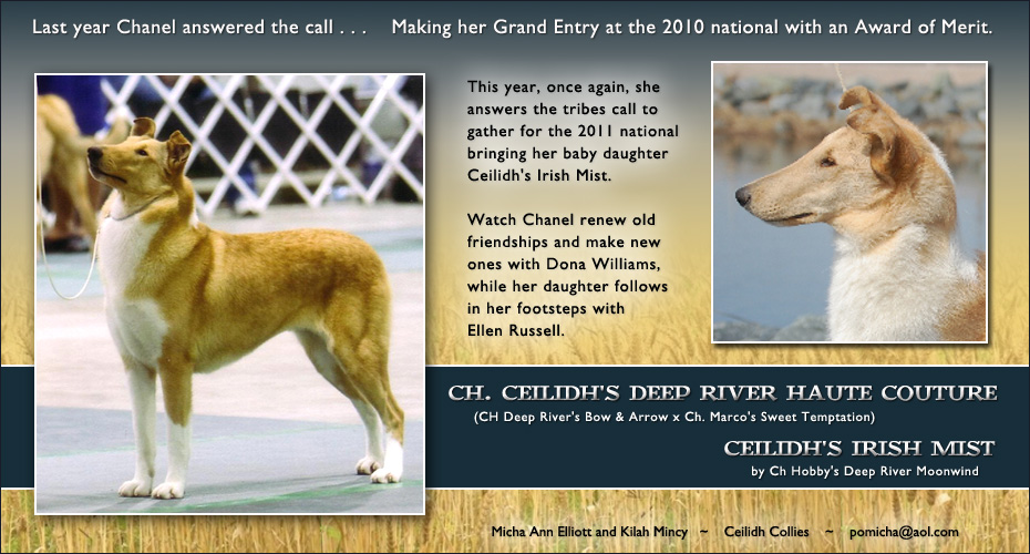 Ceidilh Collies -- CH Ceilidh's Deep River Haute Couture and Ceilidh's Irish Mist