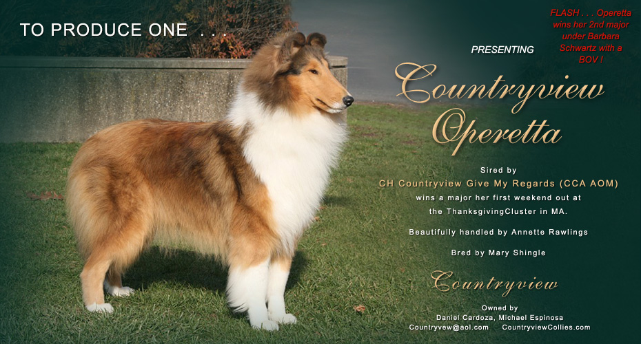 Countryview Collies -- Countryview Operetta
