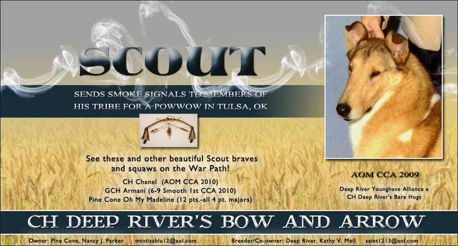 Deep River Collies / Pine Cone Collies -- CH Deep River's Bow and Arrow