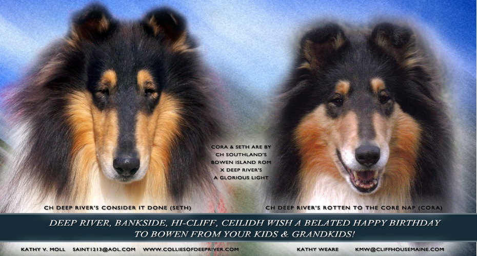 Deep River Collies /  / Hi-Cliff Collies -- CH Deep River's Consider It Done and CH Deep River's Rotten To The Core NPA