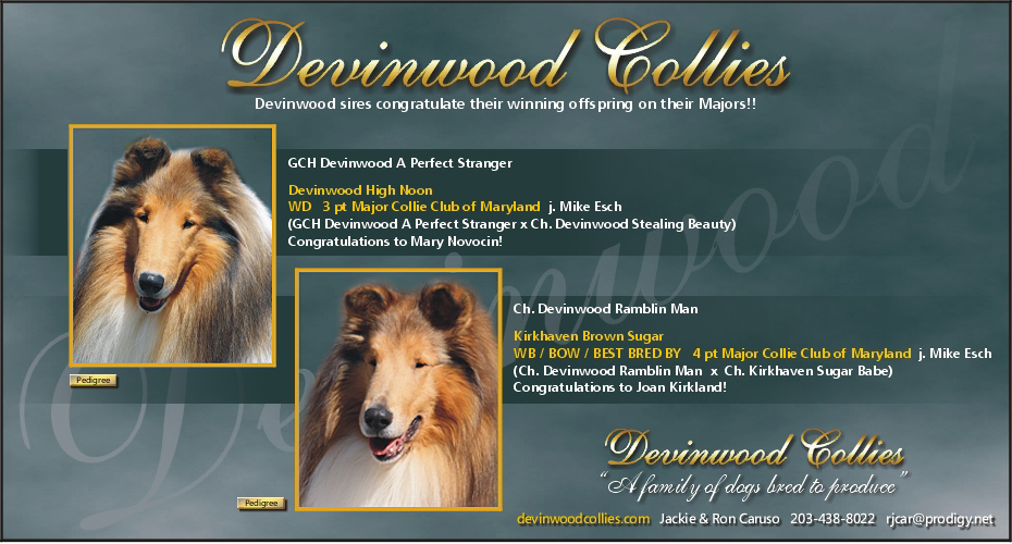 Devinwood Collies -- GCH Devinwood A Perfect Stranger and CH Devinwood Ramblin Man