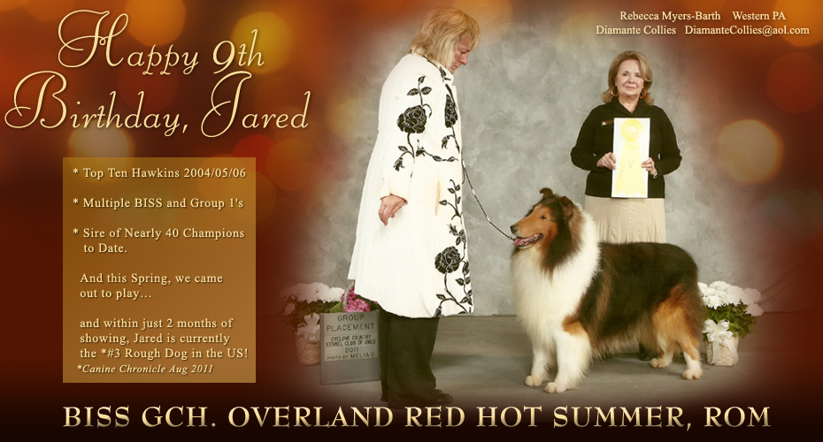 Diamante Collies -- GCH Overland Red Hot Summer, ROM